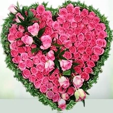Valentine Day Gifts - Rose Day Gifts - 7th Feb