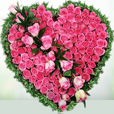 Valentine Day Gifts - Rose Day Gifts - 7th Feb