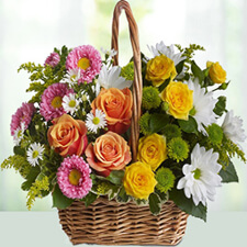 Flower Delivery | Send Flower, Gifts, Cakes India | Phoolwala Florist