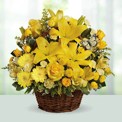 Fathers Day Premium Flowers 