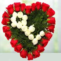 florist shop in ahmedabad