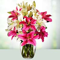 birthday cake and flowers delivery in jaipur