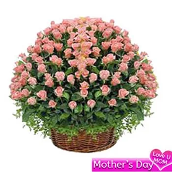 Basket of 100 pink roses