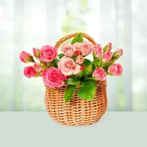 Pink Blossom For Special Lady