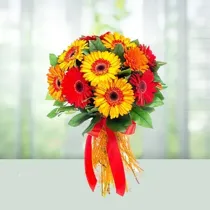 Divine Gerbera