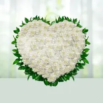 Precious Gift