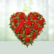 Red Heart Carnations