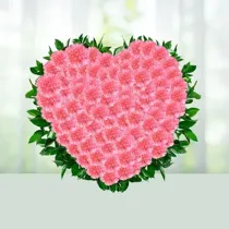Pink Pleasure