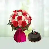 Celebration Carnival Combo