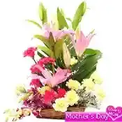 Basket of lilies, carnations and orchids