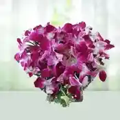 20 Purple Orchids Bouquet