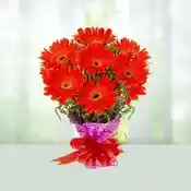 Flowers Bouquet-Red Gerberas