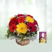 Gerbera with soan papdi
