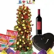 Holi Celebration in Style