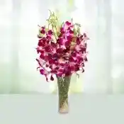 Warm Regards