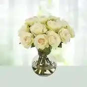 White Beauty