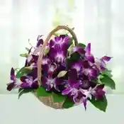 Basket of Orchids