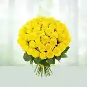 Lovely Women