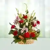Lucky Lady