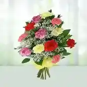 Multicolor Carnations
