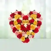 Muticolor Heart Shape Roses