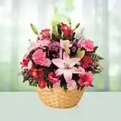 Basket of surprise