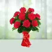 Flowers Bouquet of 12 Red Carnations