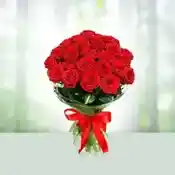 Bloom Roses