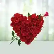Warm Affection