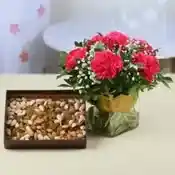 Carnation with Dryfruit Combo