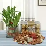 Everlasting Celebrations