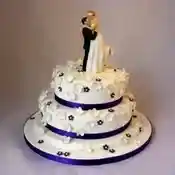 Themed Couple Wedding Cake