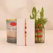 Rakhi Good Luck Plant and Sweet Hamper