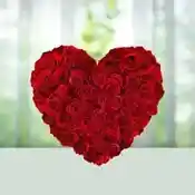 Hearty Love