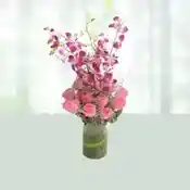 Grace The Occasion