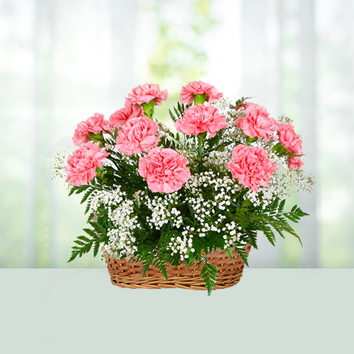 10 Carnations Flowers Basket