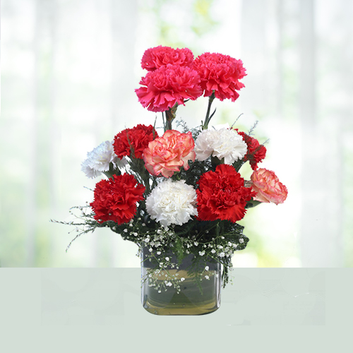 10 Mix Carnations in Vase