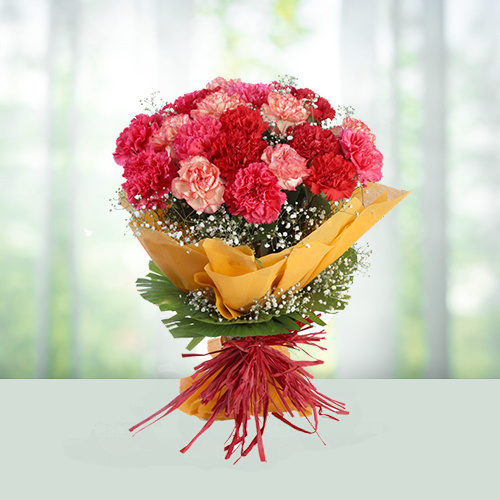 Order 10 Mix Carnations Online