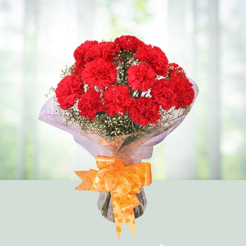 Order 12 Red Carnations Bouquet Online