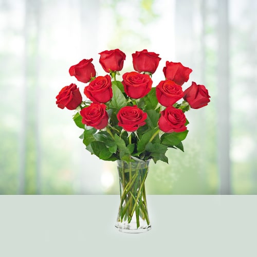 Red rose in a Vase - Flowers 