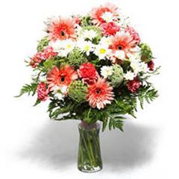 US-12-MIX-CARNATION-VASE