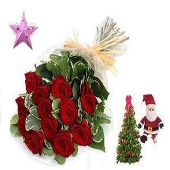 12 red roses bouquet with free santa,christmas tree,star 