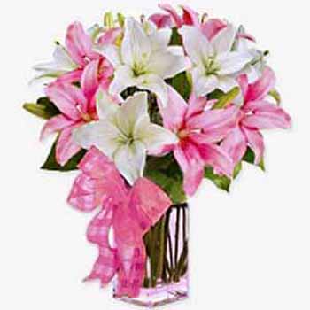 Pink And White Lilies- International Flowers