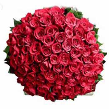 100 Long Stem Red Roses 