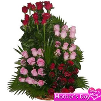 Basket of red and pink roses 