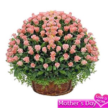 Basket of 100 pink roses