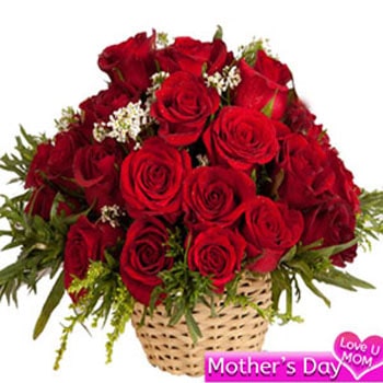 Mothers Day Radiant Red