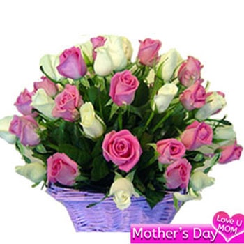 Basket of 30 pink and white roses