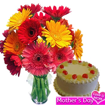 Gerberas and Cake Combo 