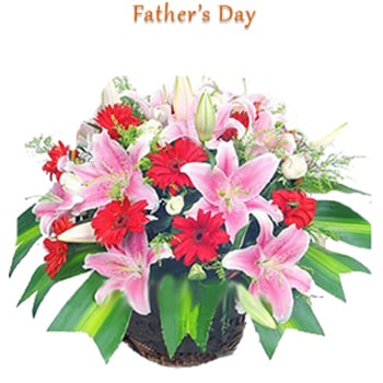 1369734059-PW-FDB-4PL-10GERBERAS-fathers-day-gifts-to-India.jpg
